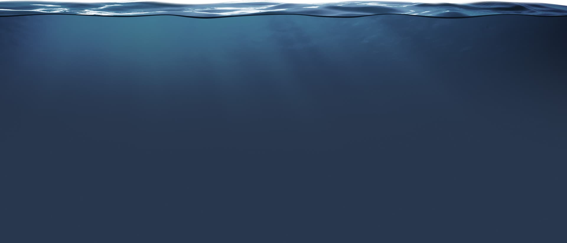 Image of Mercy Ships Business Network Image of Mercy Ships Business Network